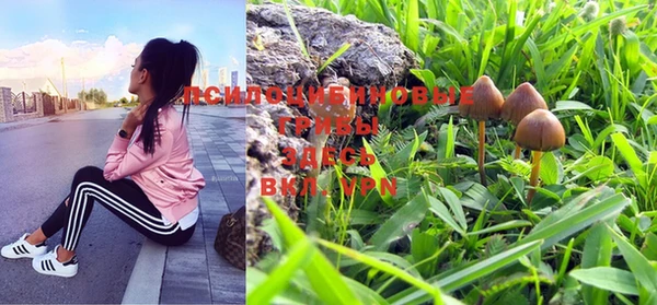 прущие крисы Кукмор