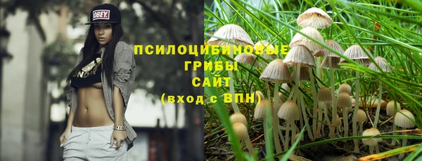 PSILOCYBIN Красноперекопск