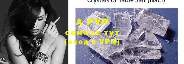 PSILOCYBIN Красноперекопск