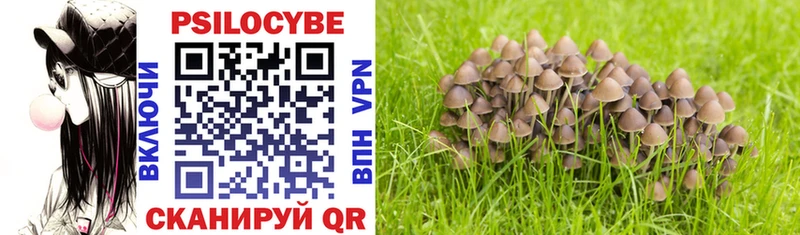 Псилоцибиновые грибы Psilocybe  Купить где  Алагир 